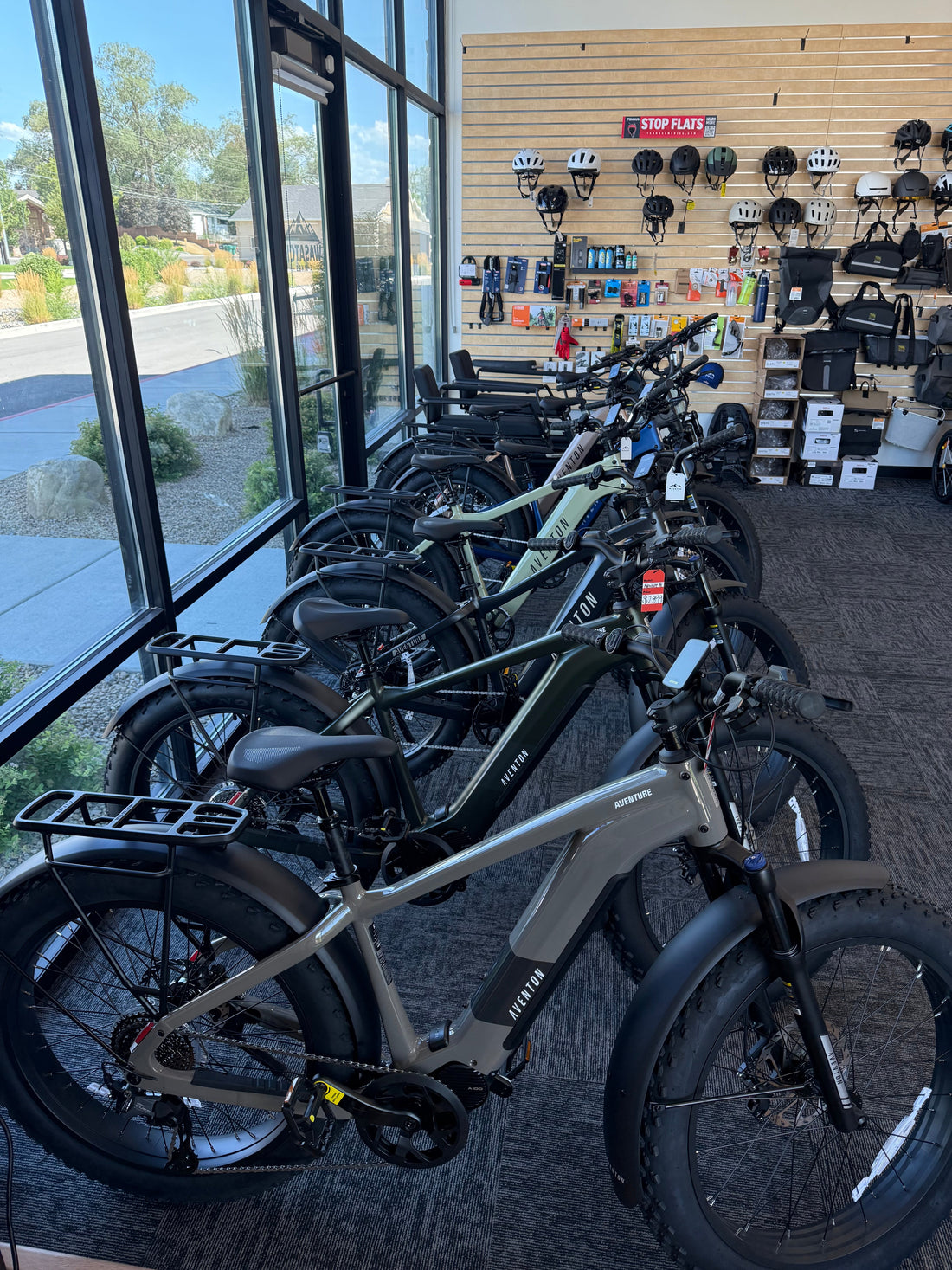 Explore the Thrill of Riding with Wasatch E-Bikes