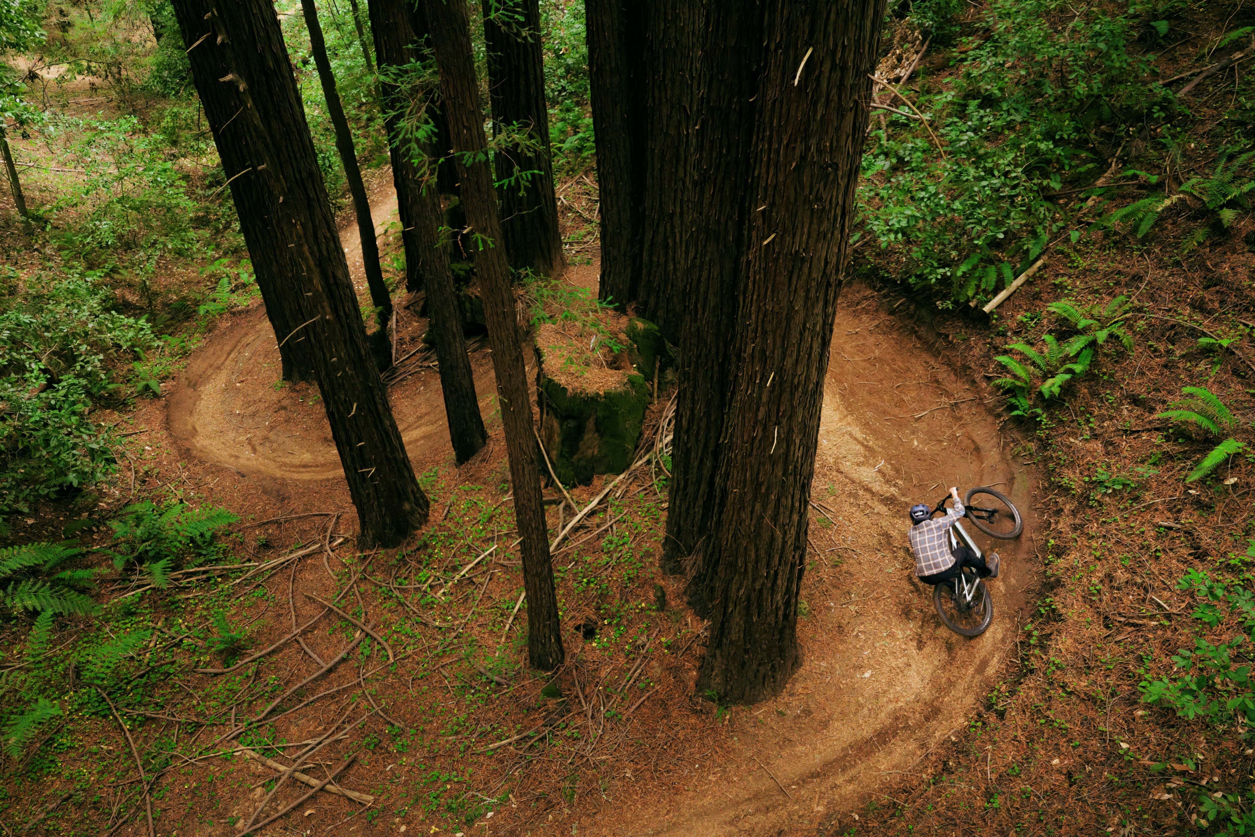 Mountain Bikes